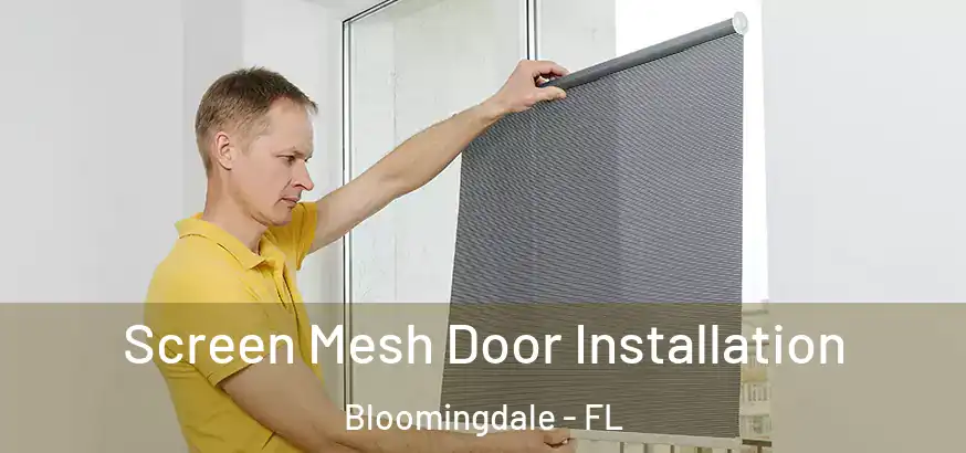  Screen Mesh Door Installation Bloomingdale - FL
