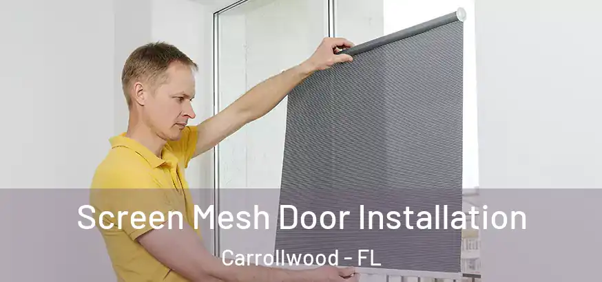  Screen Mesh Door Installation Carrollwood - FL