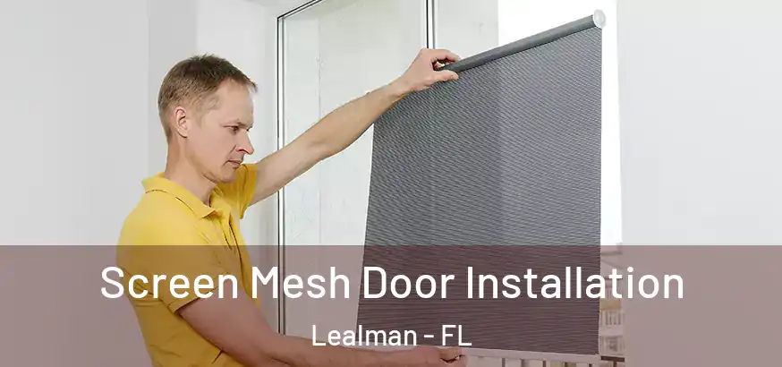  Screen Mesh Door Installation Lealman - FL