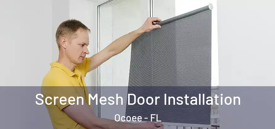  Screen Mesh Door Installation Ocoee - FL