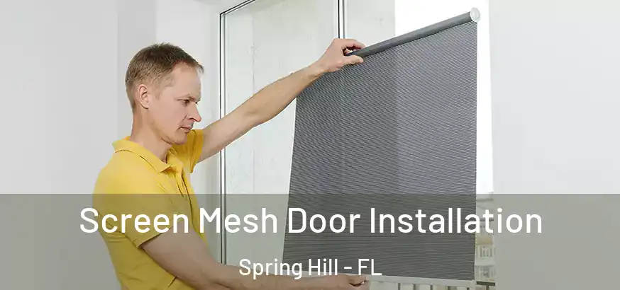 Screen Mesh Door Installation Spring Hill - FL