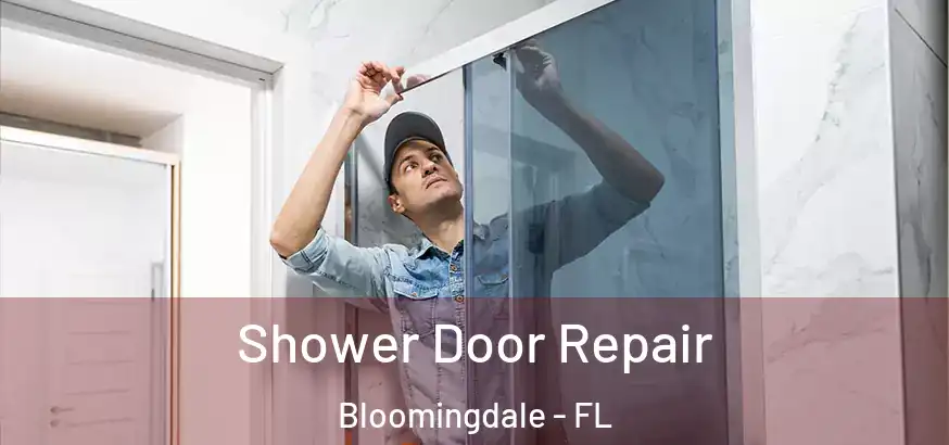  Shower Door Repair Bloomingdale - FL