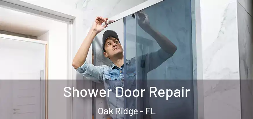 Shower Door Repair Oak Ridge - FL
