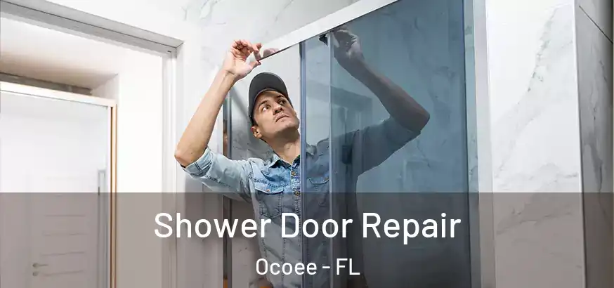  Shower Door Repair Ocoee - FL