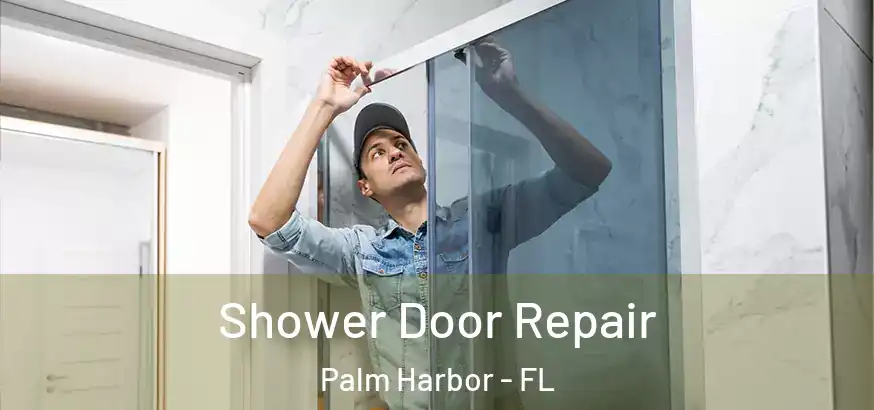  Shower Door Repair Palm Harbor - FL