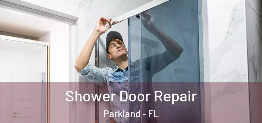 Shower Door Repair Parkland - FL