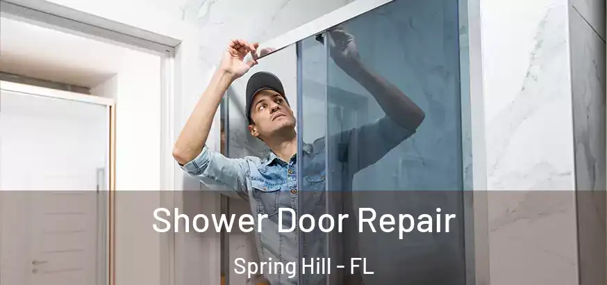  Shower Door Repair Spring Hill - FL