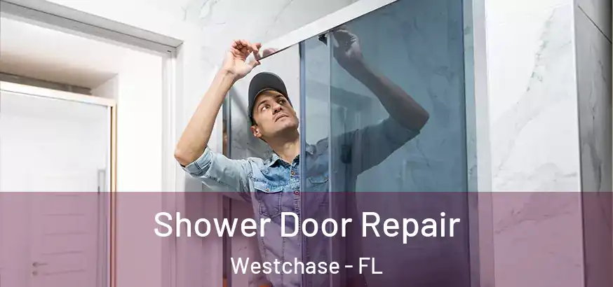  Shower Door Repair Westchase - FL