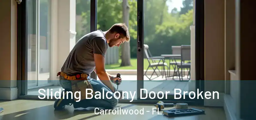  Sliding Balcony Door Broken Carrollwood - FL