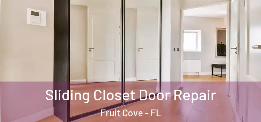 Sliding Closet Door Repair Fruit Cove - FL