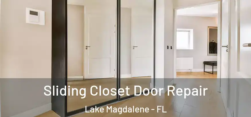  Sliding Closet Door Repair Lake Magdalene - FL