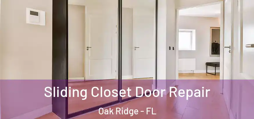  Sliding Closet Door Repair Oak Ridge - FL