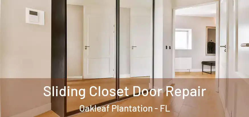  Sliding Closet Door Repair Oakleaf Plantation - FL