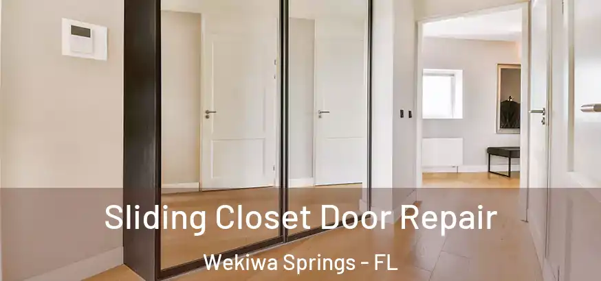  Sliding Closet Door Repair Wekiwa Springs - FL