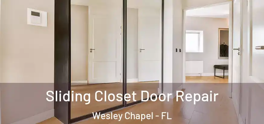  Sliding Closet Door Repair Wesley Chapel - FL