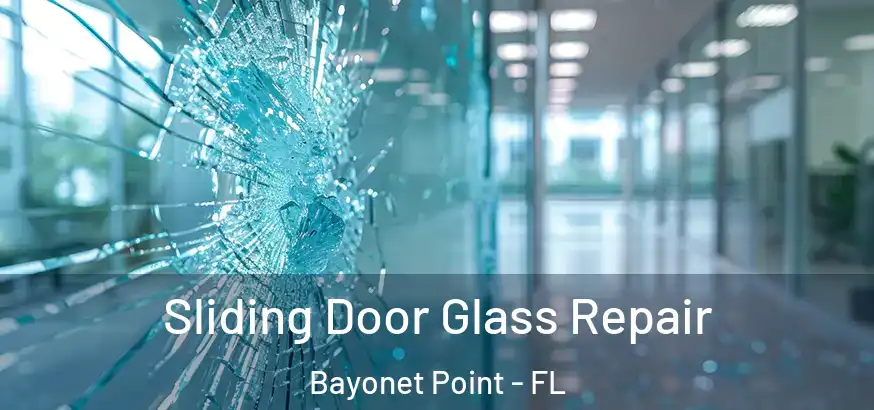  Sliding Door Glass Repair Bayonet Point - FL