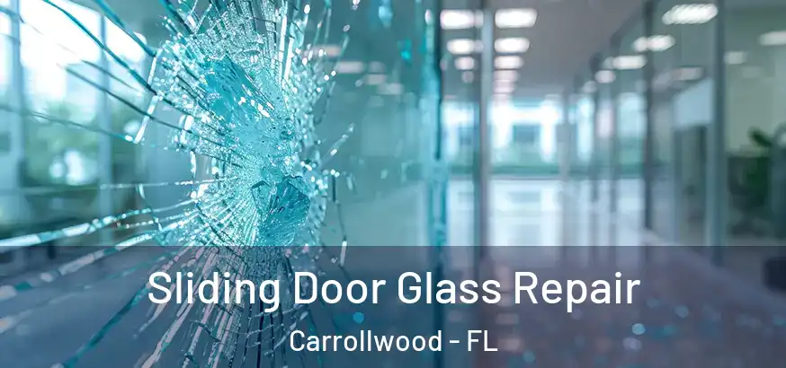 Sliding Door Glass Repair Carrollwood - FL