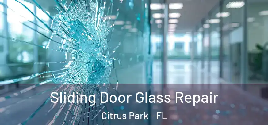  Sliding Door Glass Repair Citrus Park - FL