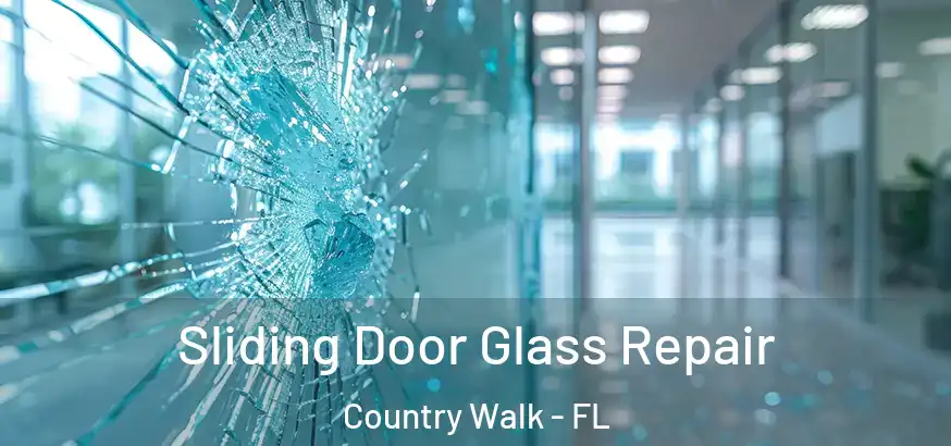  Sliding Door Glass Repair Country Walk - FL