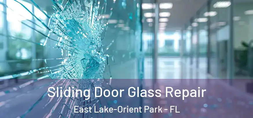  Sliding Door Glass Repair East Lake-Orient Park - FL