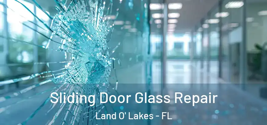  Sliding Door Glass Repair Land O' Lakes - FL