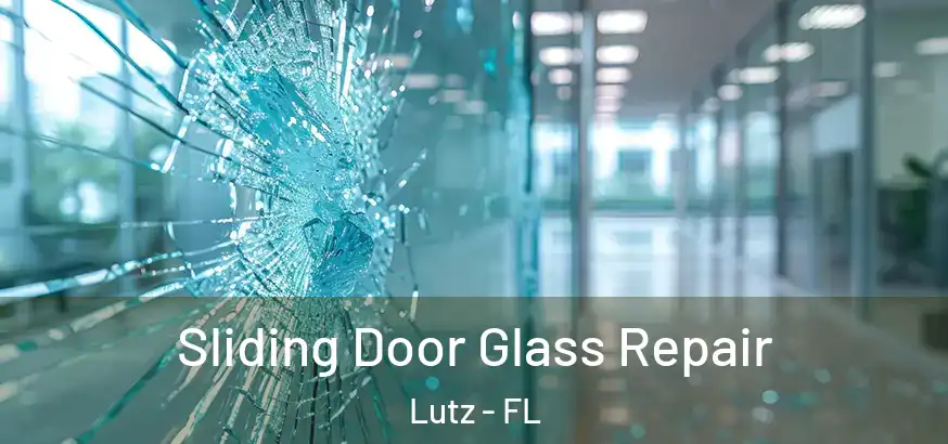  Sliding Door Glass Repair Lutz - FL