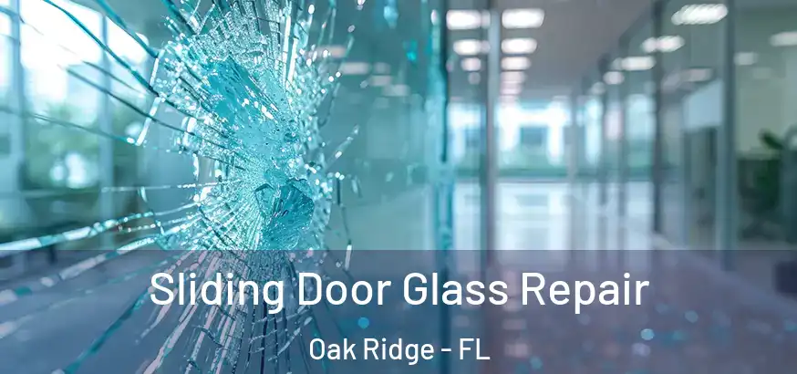 Sliding Door Glass Repair Oak Ridge - FL
