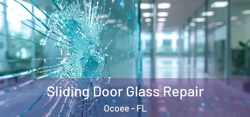 Sliding Door Glass Repair Ocoee - FL