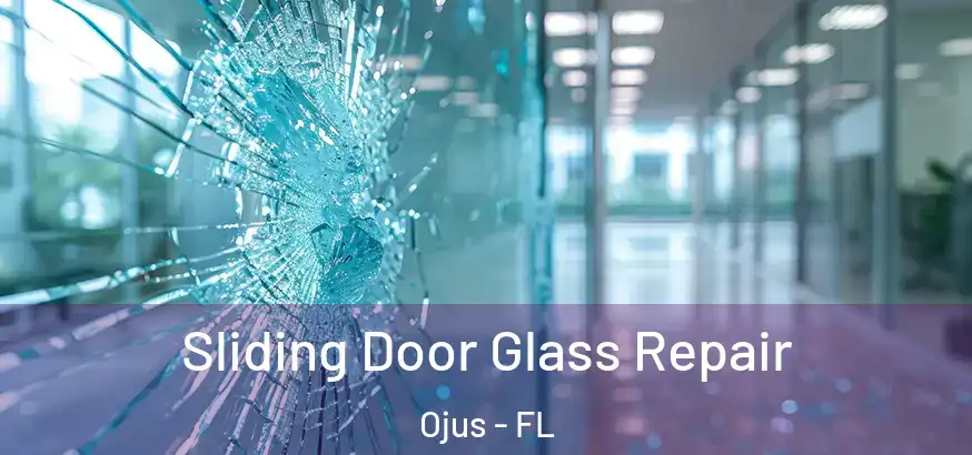  Sliding Door Glass Repair Ojus - FL