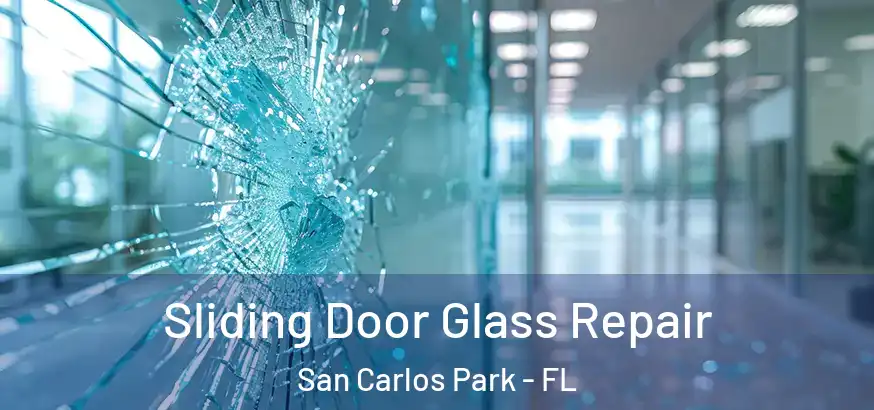  Sliding Door Glass Repair San Carlos Park - FL