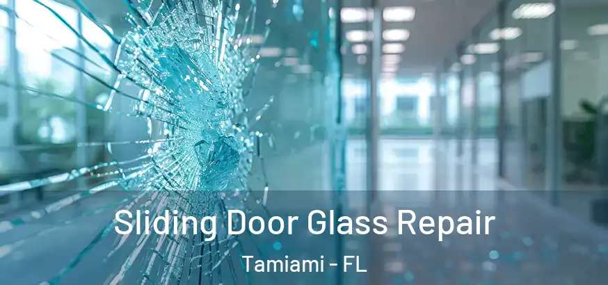  Sliding Door Glass Repair Tamiami - FL