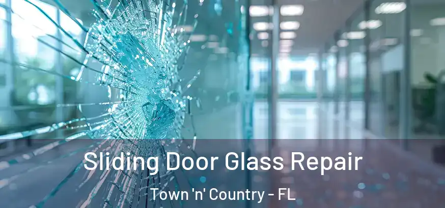  Sliding Door Glass Repair Town 'n' Country - FL