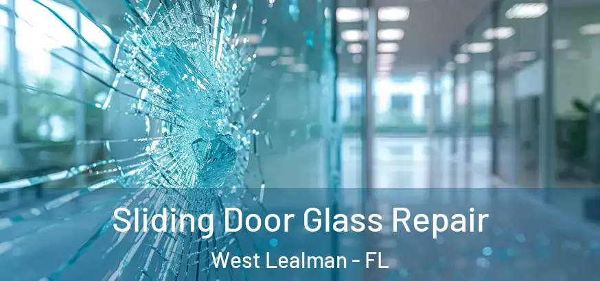  Sliding Door Glass Repair West Lealman - FL
