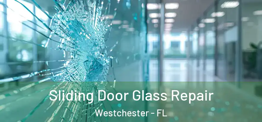  Sliding Door Glass Repair Westchester - FL