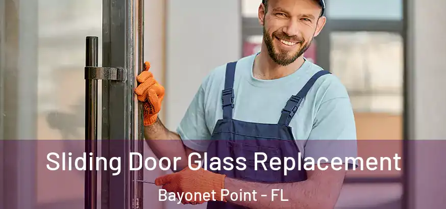 Sliding Door Glass Replacement Bayonet Point - FL