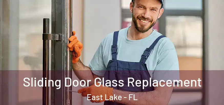  Sliding Door Glass Replacement East Lake - FL