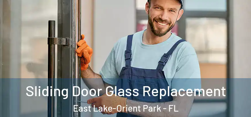  Sliding Door Glass Replacement East Lake-Orient Park - FL