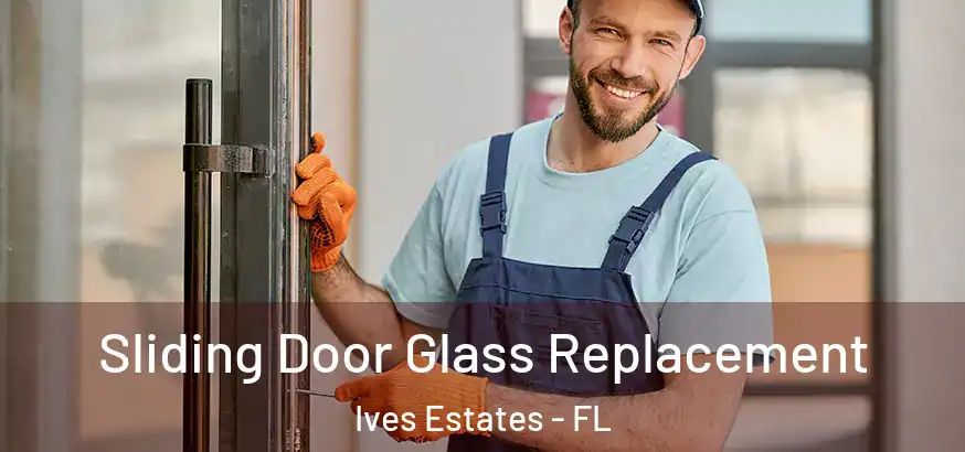  Sliding Door Glass Replacement Ives Estates - FL