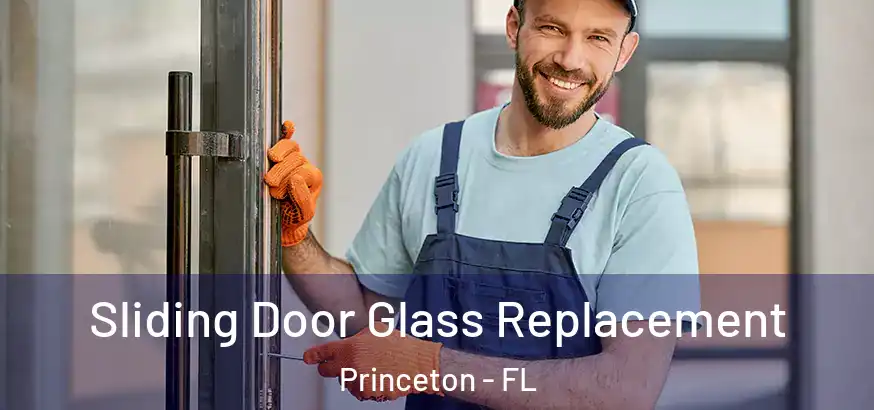  Sliding Door Glass Replacement Princeton - FL