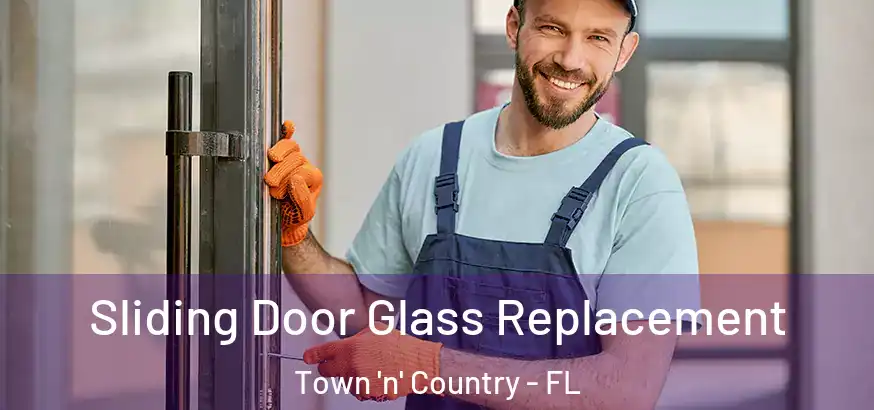  Sliding Door Glass Replacement Town 'n' Country - FL