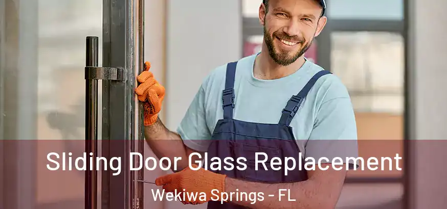  Sliding Door Glass Replacement Wekiwa Springs - FL