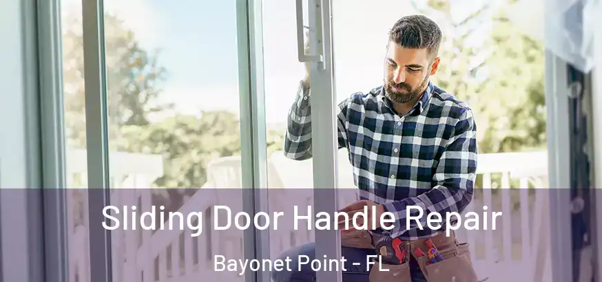  Sliding Door Handle Repair Bayonet Point - FL