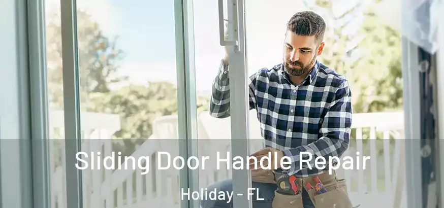  Sliding Door Handle Repair Holiday - FL