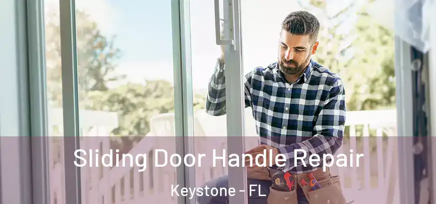  Sliding Door Handle Repair Keystone - FL