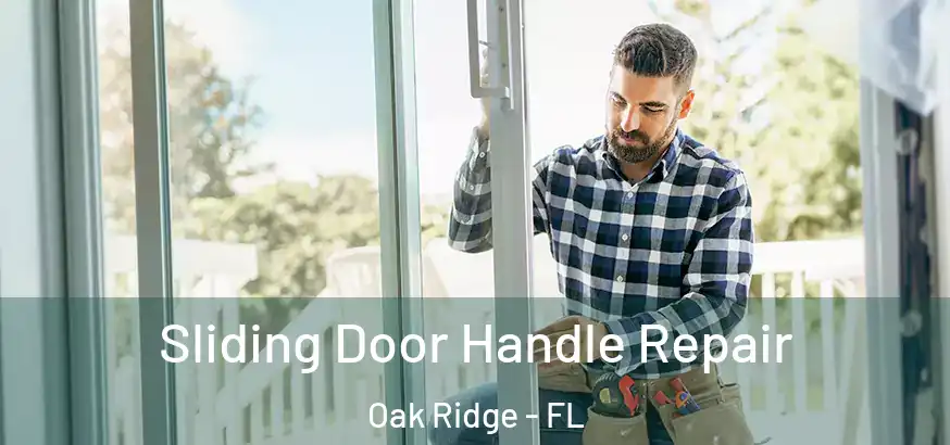  Sliding Door Handle Repair Oak Ridge - FL