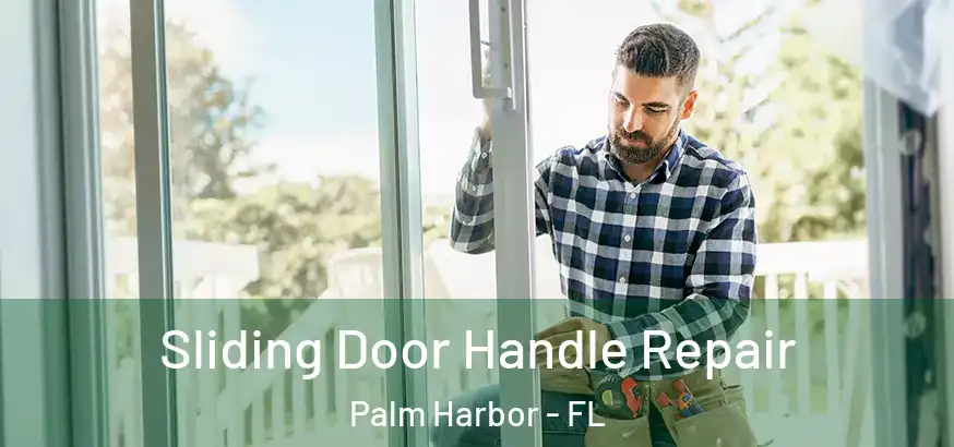  Sliding Door Handle Repair Palm Harbor - FL