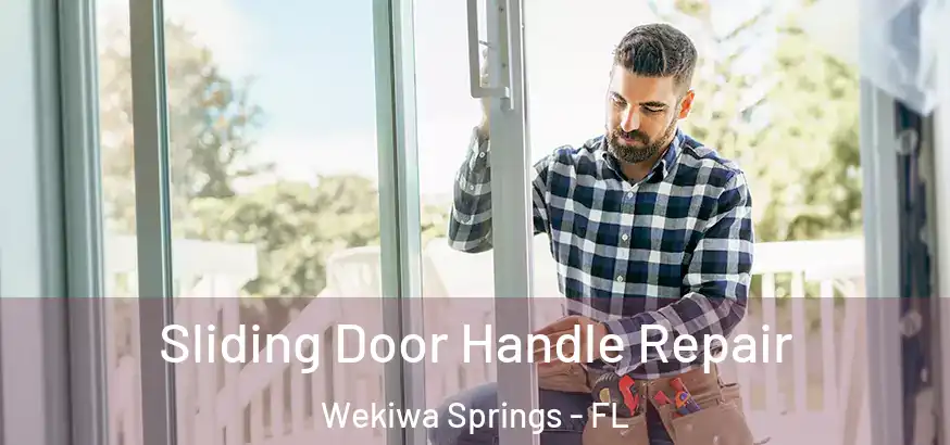  Sliding Door Handle Repair Wekiwa Springs - FL