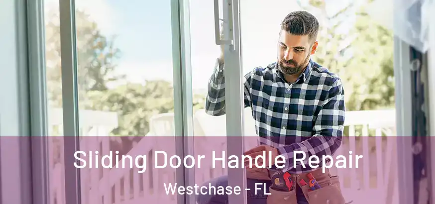  Sliding Door Handle Repair Westchase - FL