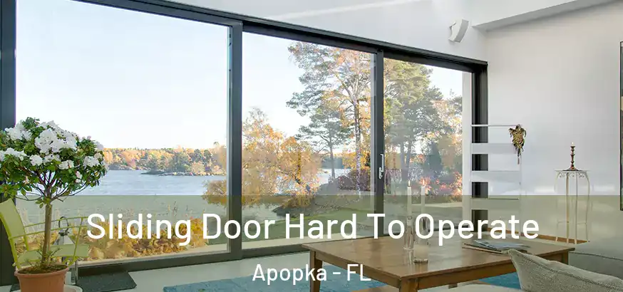 Sliding Door Hard To Operate Apopka - FL