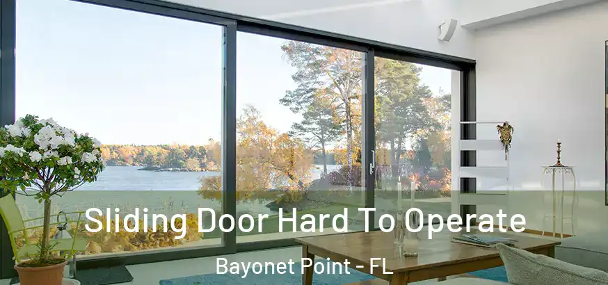  Sliding Door Hard To Operate Bayonet Point - FL